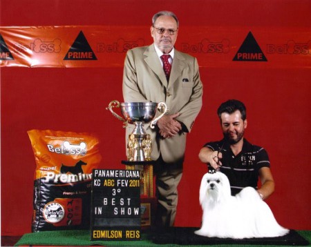 CH.White Field & They're The Best GALILEO 